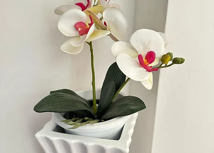 דירה Trastevere Rome's Heart Charming & Cozy 3 *